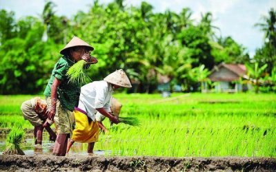 Indonesia menjadi negara Adidaya?